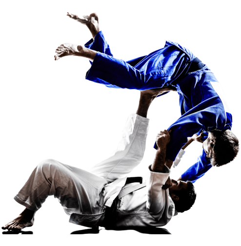 prise de judo